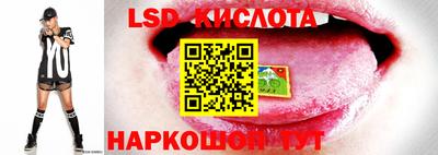 шишки Мариинск