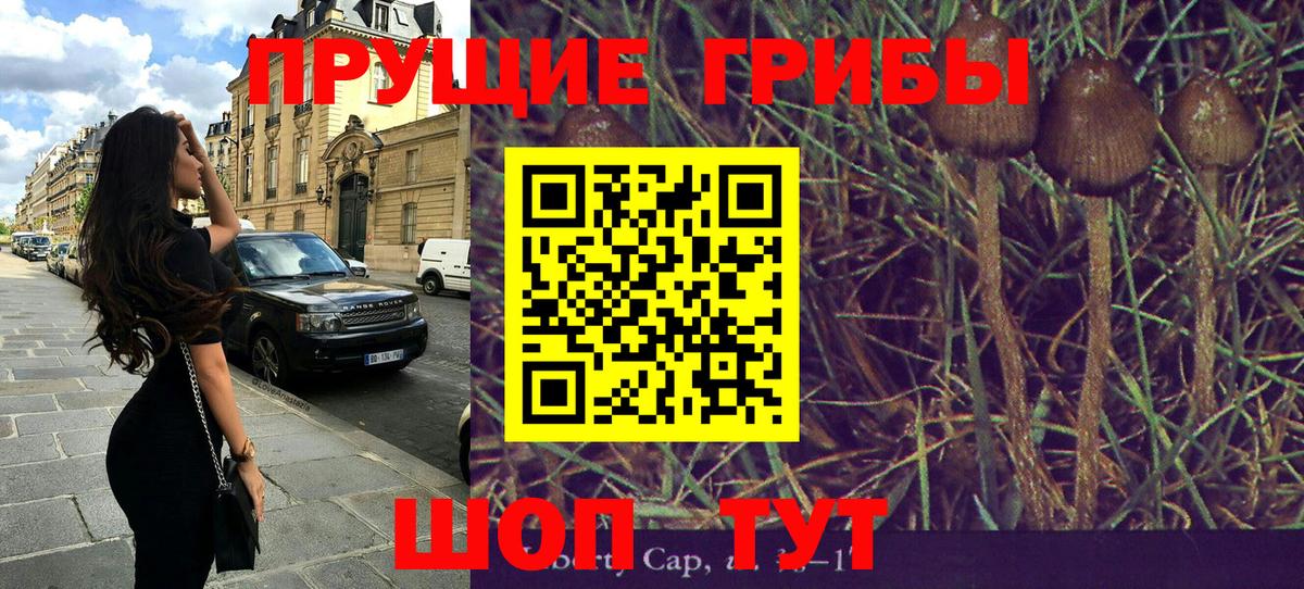 Псилоцибиновые грибы мицелий  Вход с VPN  купить наркотик  Шадринск 